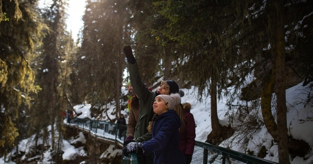 Johnston Canyon Frozen Falls Adventure