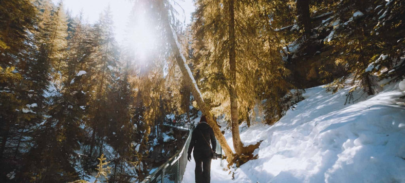 Johnston Canyon Frozen Falls Adventure