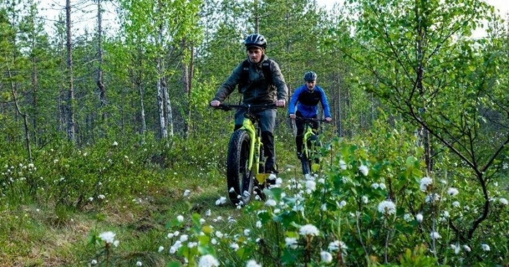 Electric Fat Biking Banff Adventure