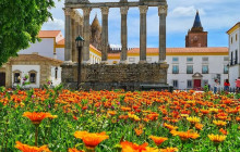 Ó Turista! Tours and Trips2