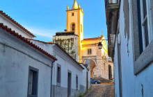 Ó Turista! Tours and Trips8