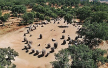 Ó Turista! Tours and Trips11