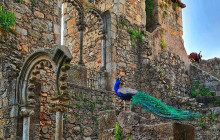 Ó Turista! Tours and Trips14