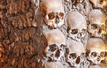 Ó Turista! Tours and Trips15