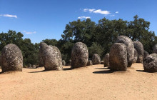 Ó Turista! Tours and Trips17