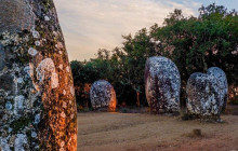 Ó Turista! Tours and Trips18