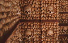 Ó Turista! Tours and Trips20