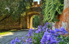 Ó Turista! Tours and Trips21