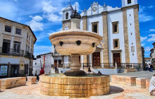 Ó Turista! Tours and Trips24