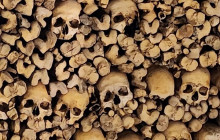 Ó Turista! Tours and Trips26