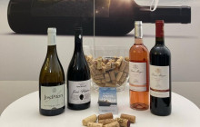 Ó Turista! Tours and Trips32