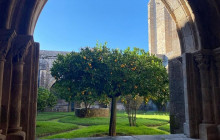 Ó Turista! Tours and Trips43