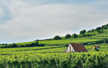 Taste Hungary11