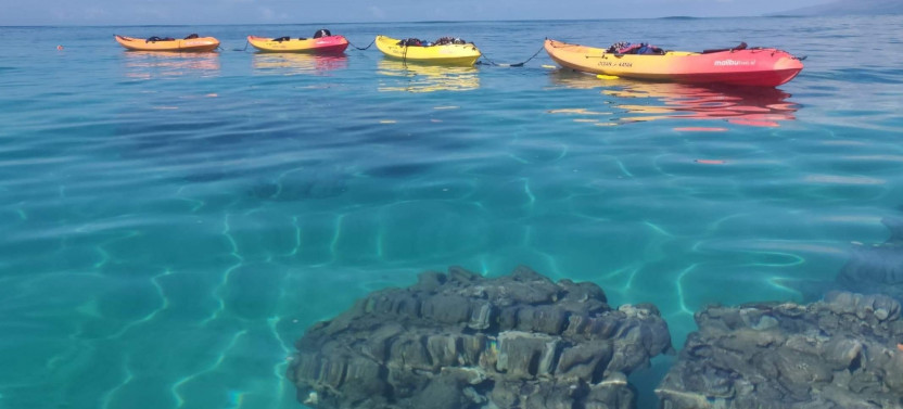 Wailea Coastline Discovery