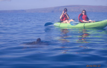 South Pacific Kayaks Maui8