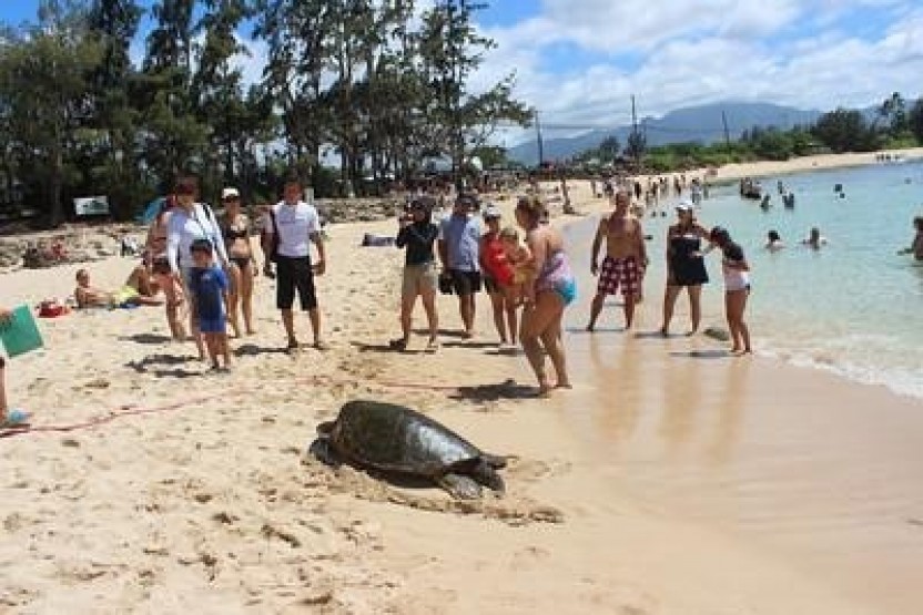 North Shore Circle Island Adventure