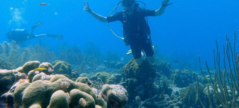 Discover Scuba Diving Experience