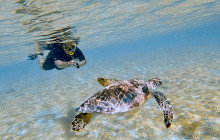 Amazing Bonaire1