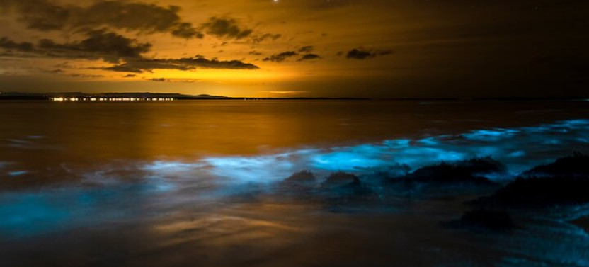 Magical Bioluminescent Night Dive