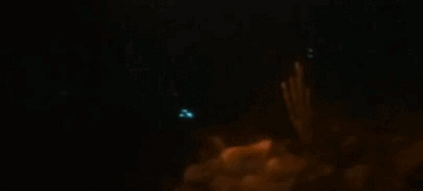 Bioluminescent And Fluorescent Night Snorkeling