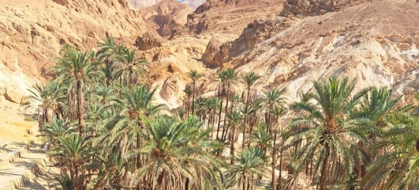 7-Day Guided Tour of Tunisia