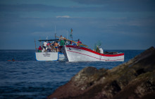 Azores Boat Adventures9