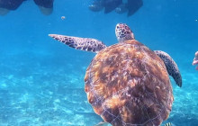 Tulum Snorkel Services1