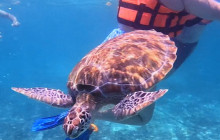 Tulum Snorkel Services18