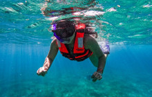 Tulum Snorkel Services19