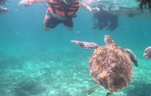 Tulum Snorkel Services23