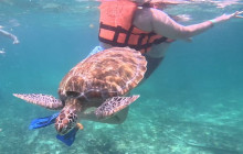 Tulum Snorkel Services25