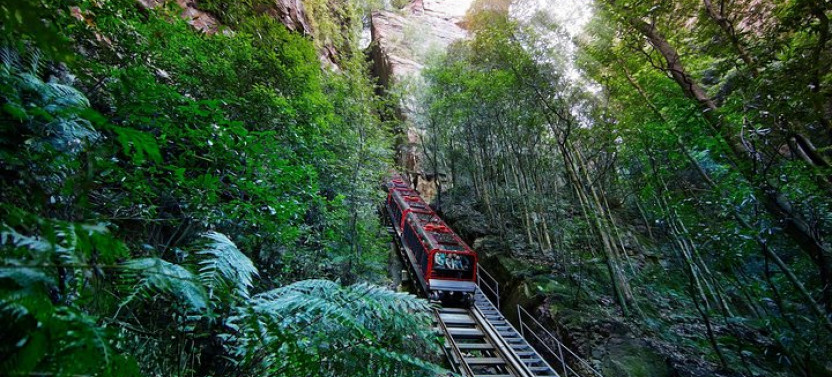 Blue Mountains Small Group Tour