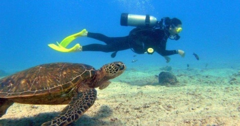 Eco Scuba Diving Adventures