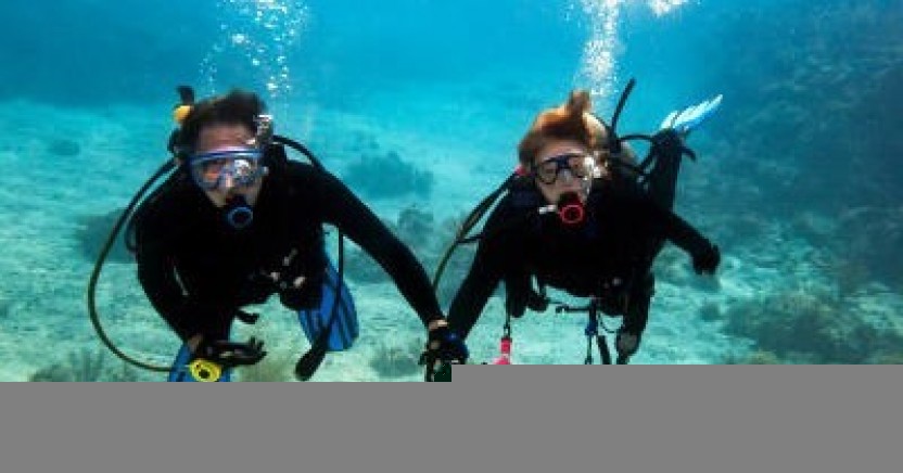 Eco Intro Dives