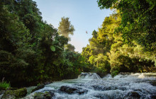 Rotorua Ziplines1