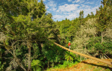 Rotorua Ziplines2