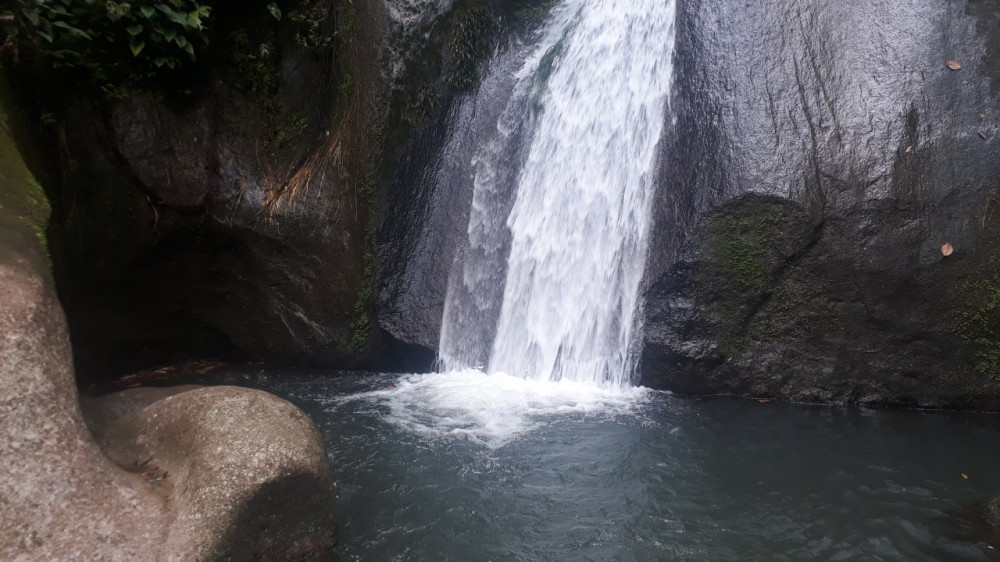 Deep Jungle Panama Mountains & Waterfalls