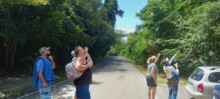 El Valle de Anton Origin and Exploration Tour From Panama City