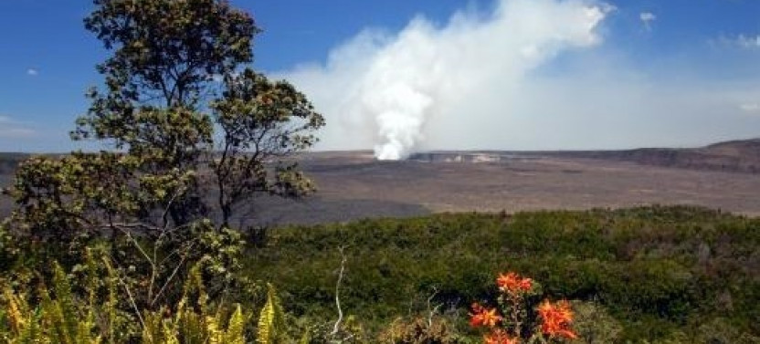 One-Day Hilo Tour: Volcano Tour