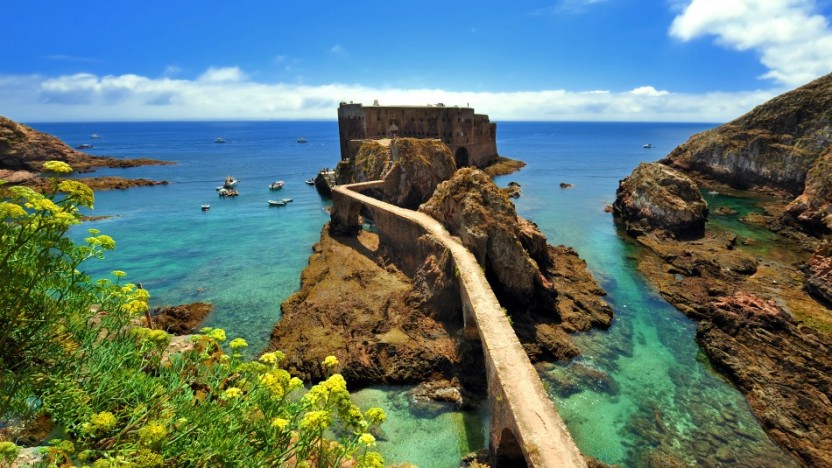 Atlantic Frontier: Berlenga Island Small Group Tour