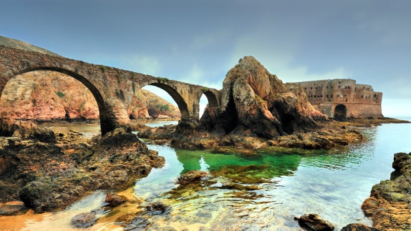 Atlantic Frontier: Berlenga Island Small Group Tour