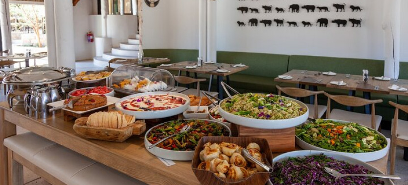 Aquila Reserve Safari with Lunch and Wine Tasting