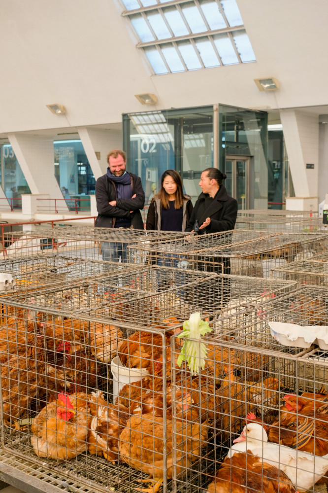 The Only Fish Market Tasting Tour, Sea to Table