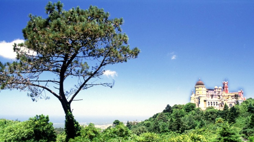 Mystic Forest: Sintra And Cascais Private Tour