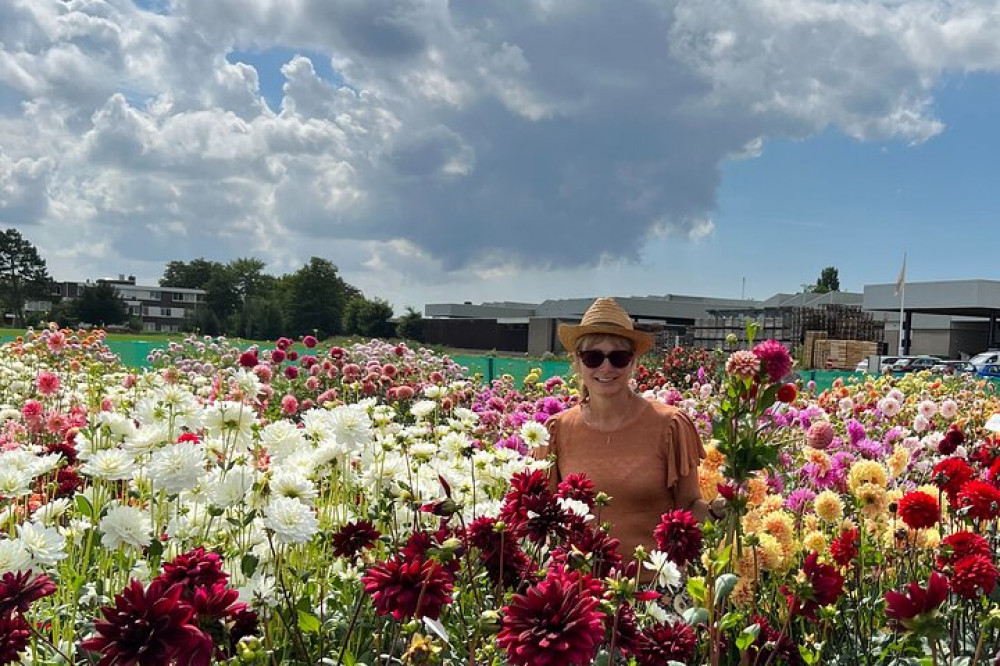 Summer Flowers Garden & Windmill Tour with Cheese Tasting