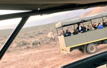 Bella private tours and safari16