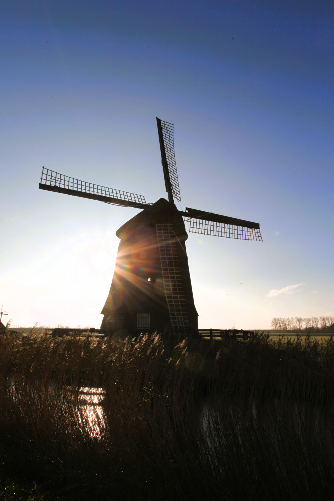 Holland Countryside Tour for Seniors