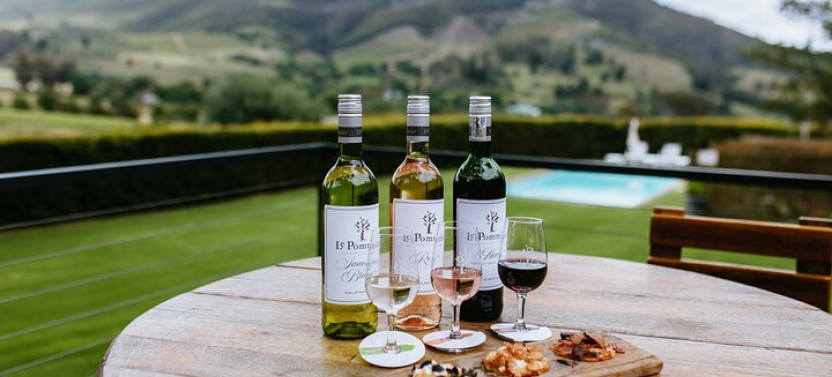 Full-Day Franschhoek Wine Tour from Cape Town