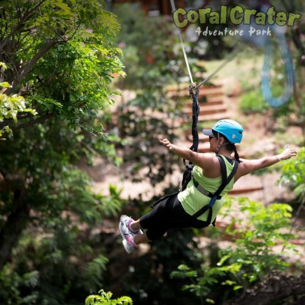 Coral Crater Adventure Park:Six Zipline Adventure w/ Waikiki Transportation