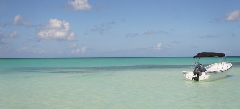 Private Saona Island Tour from Punta Cana with Lunch